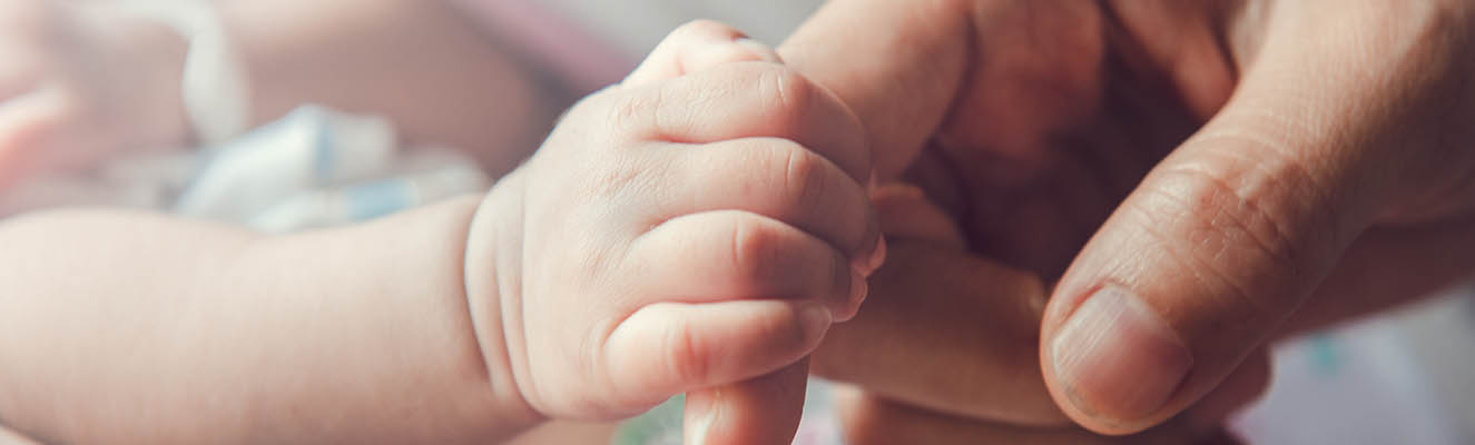 image of the baby's hand and parent's hand
