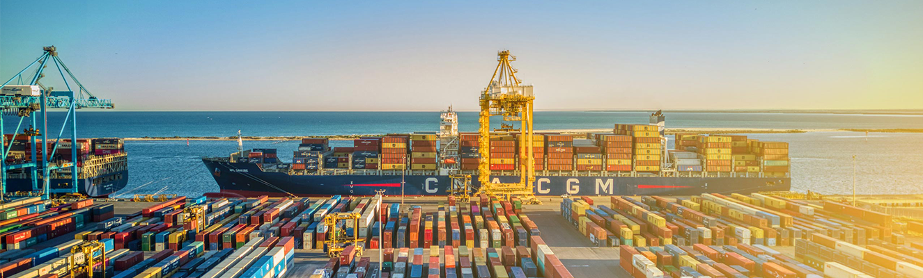 A container ship docked at Flinders Port