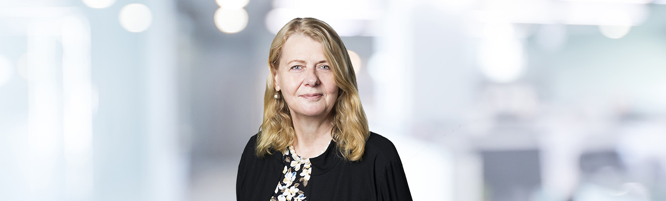 image banner featuring Sue Dahn